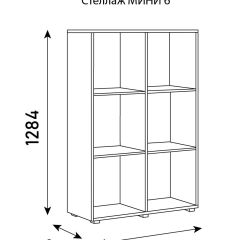 Стеллаж Мини 6 в Ялуторовске - yalutorovsk.mebel24.online | фото 6