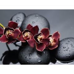 Стол обеденный Бостон Ст101.1 орхидеи в Ялуторовске - yalutorovsk.mebel24.online | фото 3