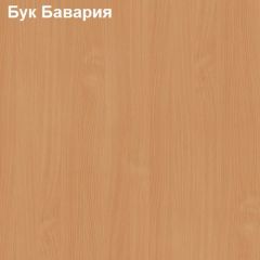 Стол приставной Логика Л-1.10 в Ялуторовске - yalutorovsk.mebel24.online | фото