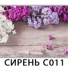 Стол раздвижной Трилогия с фотопечатью Орхидея C012 в Ялуторовске - yalutorovsk.mebel24.online | фото 16