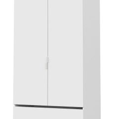 Токио Шкаф двухстворчатый с двумя ящиками в Ялуторовске - yalutorovsk.mebel24.online | фото