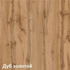 Вуди Шкаф для одежды 13.138 в Ялуторовске - yalutorovsk.mebel24.online | фото 4