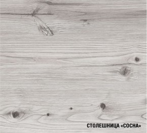 АСАЯ Кухонный гарнитур Экстра (3000 мм) в Ялуторовске - yalutorovsk.mebel24.online | фото 8