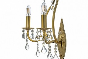 Бра Arti Lampadari Ercolano Ercolano E 2.1.2.602 G в Ялуторовске - yalutorovsk.mebel24.online | фото 6