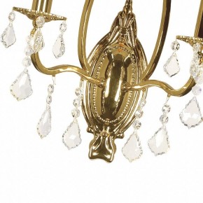 Бра Arti Lampadari Ercolano Ercolano E 2.1.2.602 G в Ялуторовске - yalutorovsk.mebel24.online | фото 7
