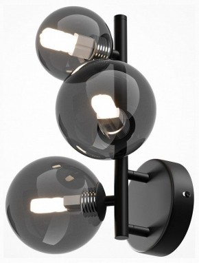 Бра Maytoni Dallas MOD545WL-03B в Ялуторовске - yalutorovsk.mebel24.online | фото 2