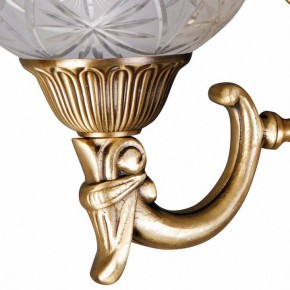 Бра MW-Light Афродита 2 317021902 в Ялуторовске - yalutorovsk.mebel24.online | фото 5