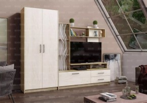 ДАРЬЯ Гостиная (Крафт серый/Крафт белый) в Ялуторовске - yalutorovsk.mebel24.online | фото