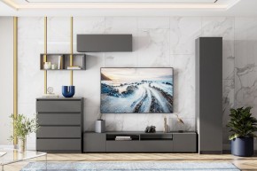 ДЕНВЕР Пенал (Графит серый) в Ялуторовске - yalutorovsk.mebel24.online | фото 4