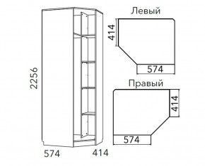 Детская Фанк Шкаф угловой Левый/Правый НМ 013.04-02 М в Ялуторовске - yalutorovsk.mebel24.online | фото 3