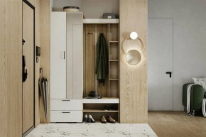 Гарнитур для прихожей Торонто в Ялуторовске - yalutorovsk.mebel24.online | фото 5