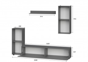 Гостиная МГС 10 (Графит) в Ялуторовске - yalutorovsk.mebel24.online | фото 2