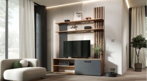 КАРОЛИНА Гостиная в Ялуторовске - yalutorovsk.mebel24.online | фото