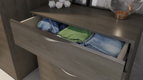 Комод Либерти ТД-297.04.02 в Ялуторовске - yalutorovsk.mebel24.online | фото 4