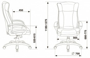 Кресло для руководителя Бюрократ CH-879N в Ялуторовске - yalutorovsk.mebel24.online | фото