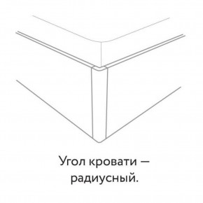 Кровать "Сандра" БЕЗ основания 1200х2000 в Ялуторовске - yalutorovsk.mebel24.online | фото 3