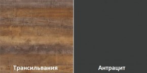 Кухонный гарнитур угловой Трансильвания 2600х1600 мм (Стол. 26 мм) в Ялуторовске - yalutorovsk.mebel24.online | фото 3