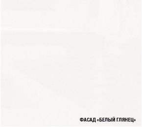 ЛОТОС Кухонный гарнитур Экстра 5 (3000 мм) в Ялуторовске - yalutorovsk.mebel24.online | фото 5