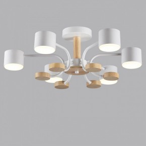 Люстра на штанге Lumion Rondo 8231/6C в Ялуторовске - yalutorovsk.mebel24.online | фото 4