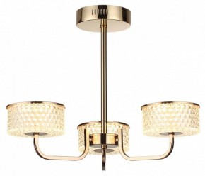 Люстра на штанге Lumion Venice 6579/40CL в Ялуторовске - yalutorovsk.mebel24.online | фото 5