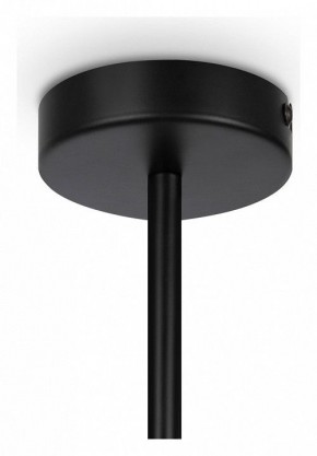 Люстра на штанге Maytoni Memory MOD177PL-04B в Ялуторовске - yalutorovsk.mebel24.online | фото 4