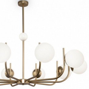 Люстра на штанге Maytoni Rendez-vous MOD109PL-10BS в Ялуторовске - yalutorovsk.mebel24.online | фото 3