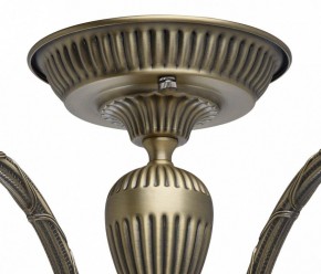 Люстра на штанге MW-Light Аманда 6 481011805 в Ялуторовске - yalutorovsk.mebel24.online | фото 10