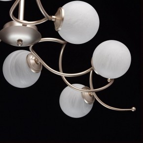 Люстра на штанге MW-Light Оливия 5 306012709 в Ялуторовске - yalutorovsk.mebel24.online | фото 10