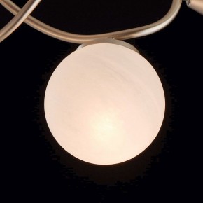 Люстра на штанге MW-Light Оливия 5 306012709 в Ялуторовске - yalutorovsk.mebel24.online | фото 6
