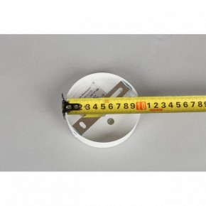 Люстра на штанге Omnilux Mearino OML-29717-08 в Ялуторовске - yalutorovsk.mebel24.online | фото 10