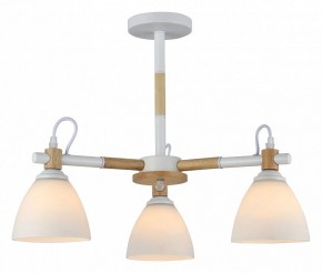 Люстра на штанге Rivoli Louise Б0060982 в Ялуторовске - yalutorovsk.mebel24.online | фото 2