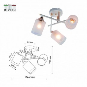 Люстра на штанге Rivoli Tammy Б0059258 в Ялуторовске - yalutorovsk.mebel24.online | фото