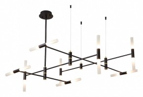 Люстра на штанге ST-Luce  SL1216.403.16 в Ялуторовске - yalutorovsk.mebel24.online | фото 2
