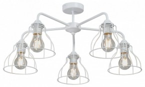 Люстра на штанге Vitaluce V3102 V3102-0/5PL в Ялуторовске - yalutorovsk.mebel24.online | фото