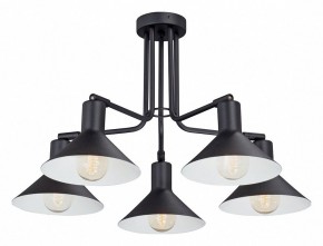 Люстра на штанге Vitaluce V4809 V4809-1/5PL в Ялуторовске - yalutorovsk.mebel24.online | фото