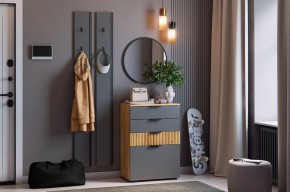 МЕБЕЛЬСОН К21 Прихожая  (графит) в Ялуторовске - yalutorovsk.mebel24.online | фото