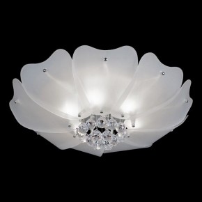 Накладной светильник Lightstar Lobo 804020 в Ялуторовске - yalutorovsk.mebel24.online | фото 2