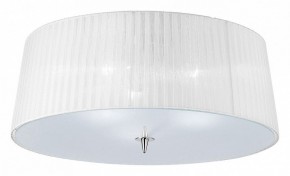 Накладной светильник Mantra Loewe 4640 в Ялуторовске - yalutorovsk.mebel24.online | фото 1