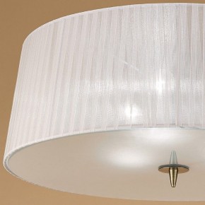 Накладной светильник Mantra Loewe 4740 в Ялуторовске - yalutorovsk.mebel24.online | фото 3