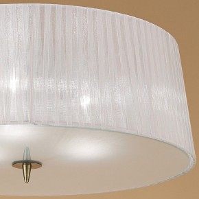 Накладной светильник Mantra Loewe 4740 в Ялуторовске - yalutorovsk.mebel24.online | фото 4