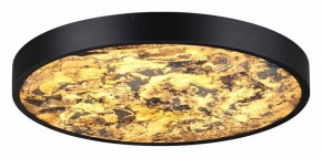 Накладной светильник Odeon Light Bergi 5064/40L в Ялуторовске - yalutorovsk.mebel24.online | фото 2