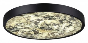 Накладной светильник Odeon Light Bergi 5064/40L в Ялуторовске - yalutorovsk.mebel24.online | фото 3