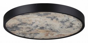 Накладной светильник Odeon Light Bergi 5064/40L в Ялуторовске - yalutorovsk.mebel24.online | фото 6