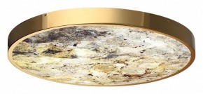Накладной светильник Odeon Light Bergi 5079/50L в Ялуторовске - yalutorovsk.mebel24.online | фото 5
