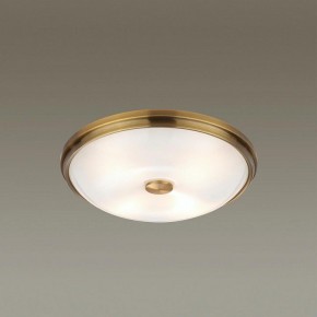 Накладной светильник Odeon Light Pelow 4956/4 в Ялуторовске - yalutorovsk.mebel24.online | фото 2