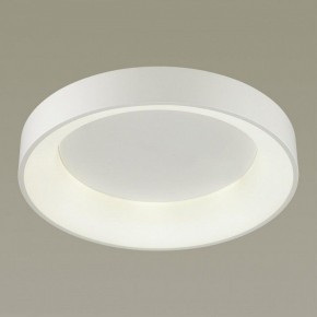 Накладной светильник Odeon Light Sole 4062/50CL в Ялуторовске - yalutorovsk.mebel24.online | фото 2