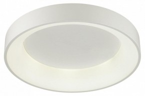 Накладной светильник Odeon Light Sole 4062/50CL в Ялуторовске - yalutorovsk.mebel24.online | фото 3