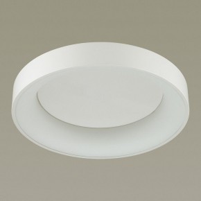 Накладной светильник Odeon Light Sole 4062/50CL в Ялуторовске - yalutorovsk.mebel24.online | фото 4
