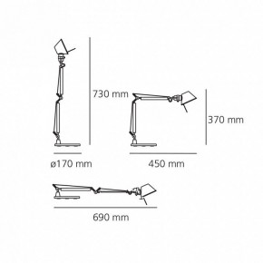 Настольная лампа офисная Artemide  0011860A в Ялуторовске - yalutorovsk.mebel24.online | фото