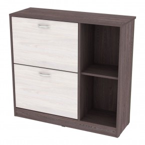 Обувница W29 (ЯАТ-ЯАС) в Ялуторовске - yalutorovsk.mebel24.online | фото